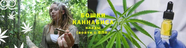 jwh Новозыбков