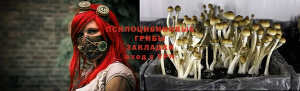 jwh Новозыбков