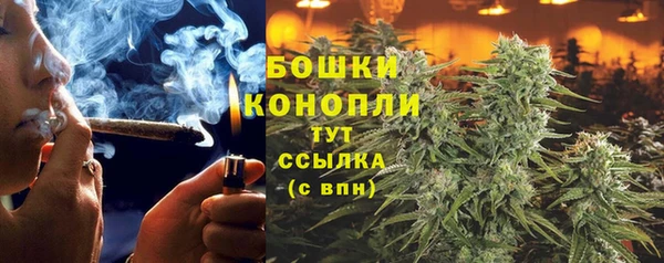 jwh Новозыбков